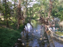 Паттайя, Бангкок_февраль 2011. Первый раз в одиночку. Описание, впечатления, фото, цены