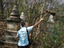 Паттайя, Бангкок_февраль 2011. Первый раз в одиночку. Описание, впечатления, фото, цены