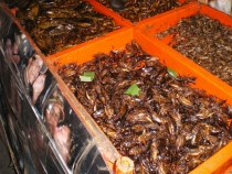 Паттайя, Бангкок_февраль 2011. Первый раз в одиночку. Описание, впечатления, фото, цены