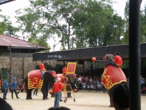 Паттайя, Бангкок_февраль 2011. Первый раз в одиночку. Описание, впечатления, фото, цены