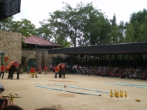 Паттайя, Бангкок_февраль 2011. Первый раз в одиночку. Описание, впечатления, фото, цены