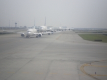 Паттайя, Бангкок_февраль 2011. Первый раз в одиночку. Описание, впечатления, фото, цены