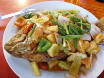 Паттайя, Бангкок_февраль 2011. Первый раз в одиночку. Описание, впечатления, фото, цены