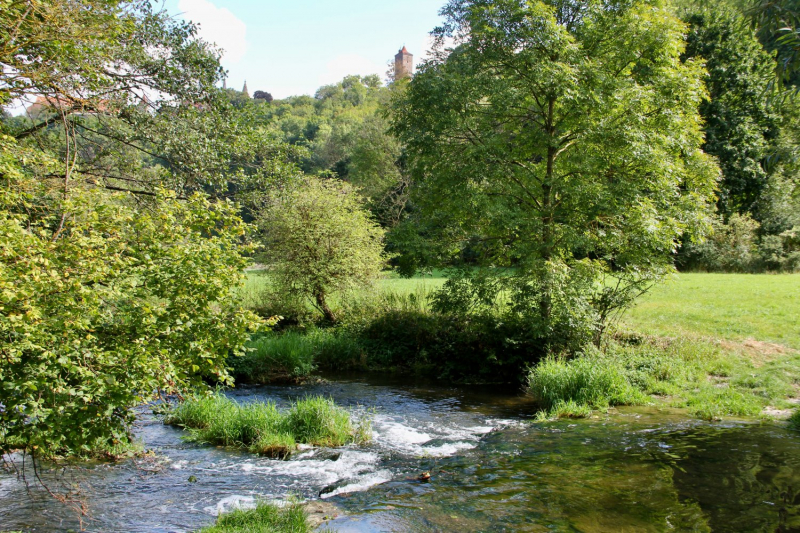 Осенний марафон 2021 г.