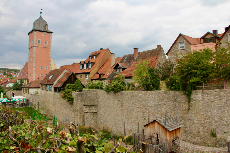 Осенний марафон 2021 г.