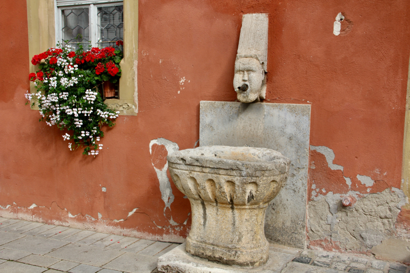 Осенний марафон 2021 г.