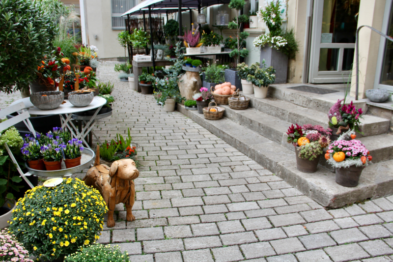 Осенний марафон 2021 г.