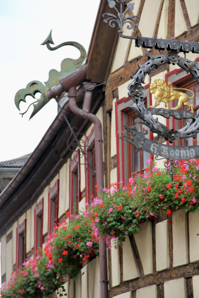 Осенний марафон 2021 г.