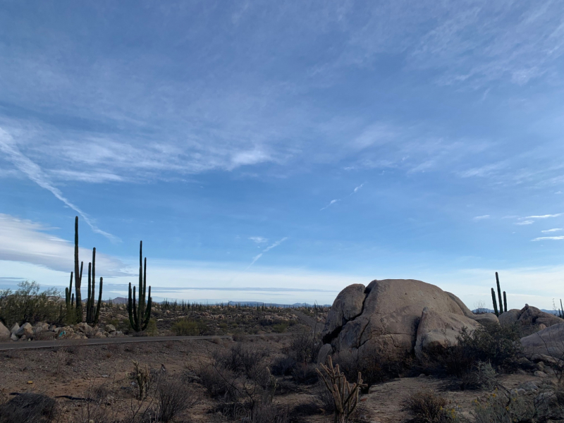 Путешествие по Baja California. Мексика