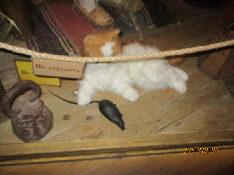 Рязанское ассорти: февраль-март-май 2021.