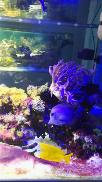 Рязанское ассорти: февраль-март-май 2021.