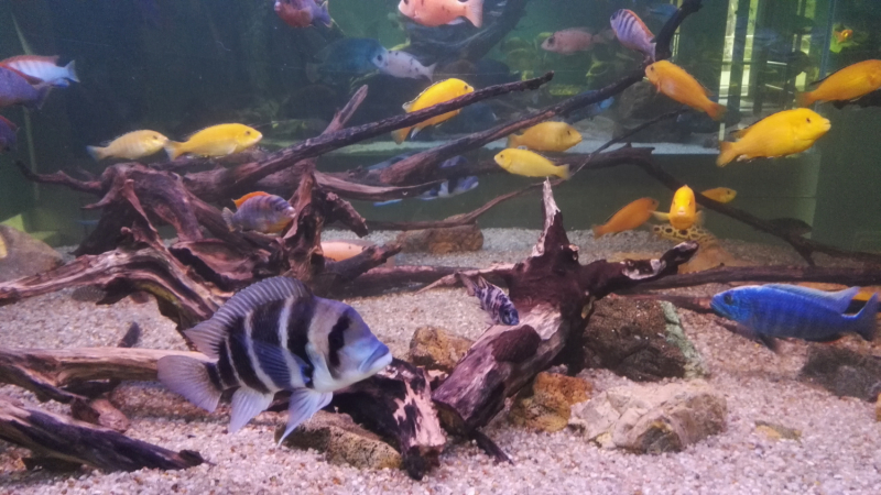 Рязанское ассорти: февраль-март-май 2021.