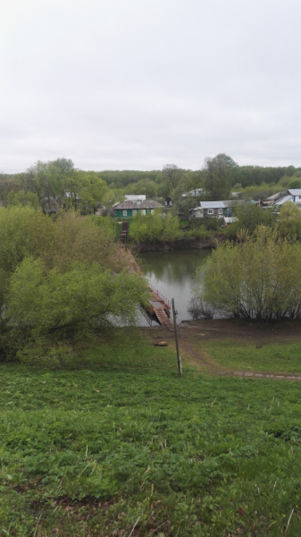 Рязанское ассорти: февраль-март-май 2021.