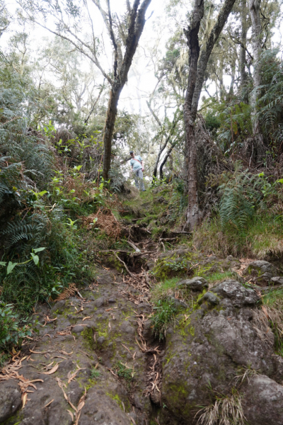 Маврикий умер (ковид), да здравствует Реюньон! Вместо пляжа лезем в горы