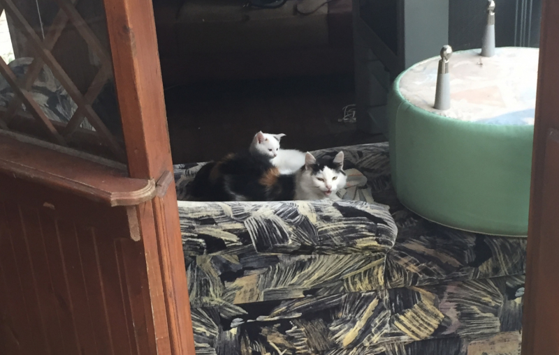 Машка едет за границу