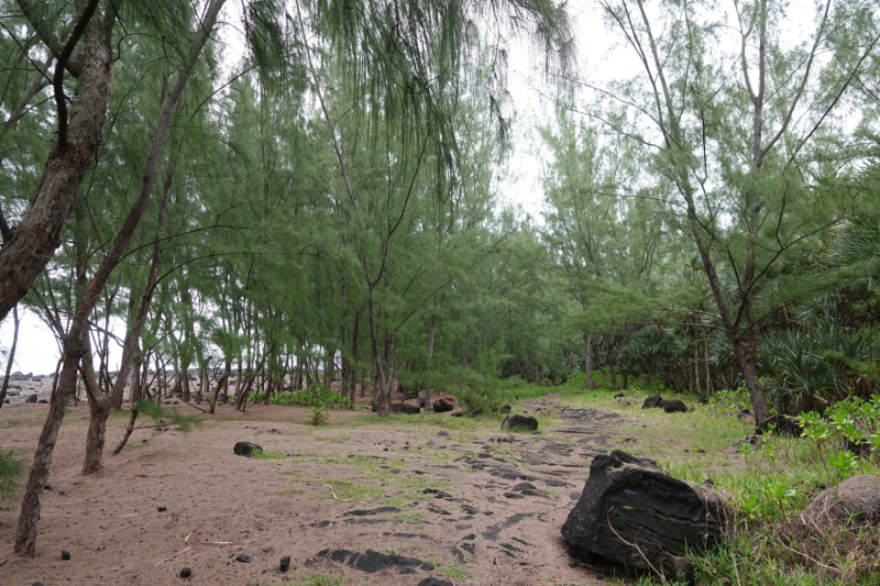 Маврикий умер (ковид), да здравствует Реюньон! Вместо пляжа лезем в горы