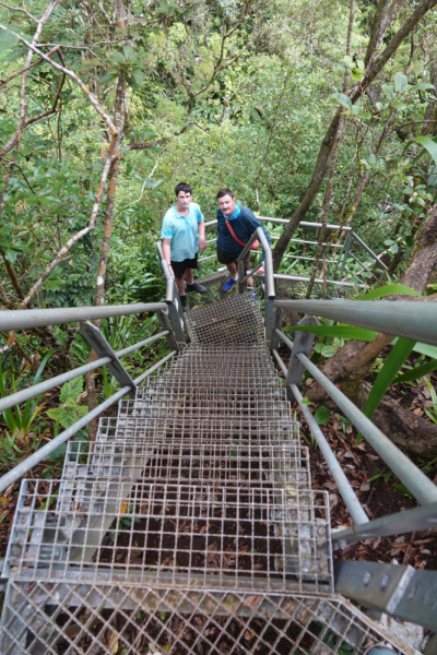 Маврикий умер (ковид), да здравствует Реюньон! Вместо пляжа лезем в горы