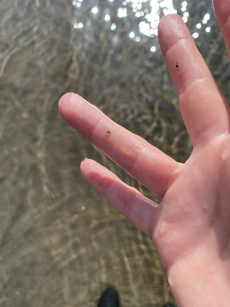 Осенняя Камчатка и заснеженный Горелый, 20-26.09.21