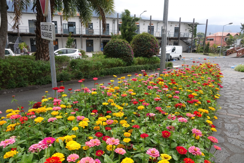 Маврикий умер (ковид), да здравствует Реюньон! Вместо пляжа лезем в горы