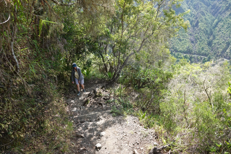 Маврикий умер (ковид), да здравствует Реюньон! Вместо пляжа лезем в горы