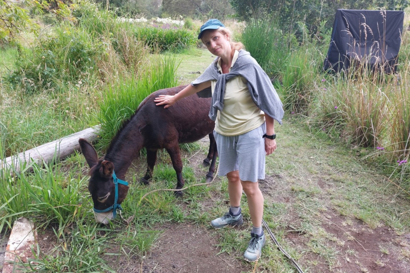 Маврикий умер (ковид), да здравствует Реюньон! Вместо пляжа лезем в горы