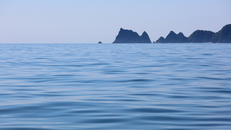 Возвращение