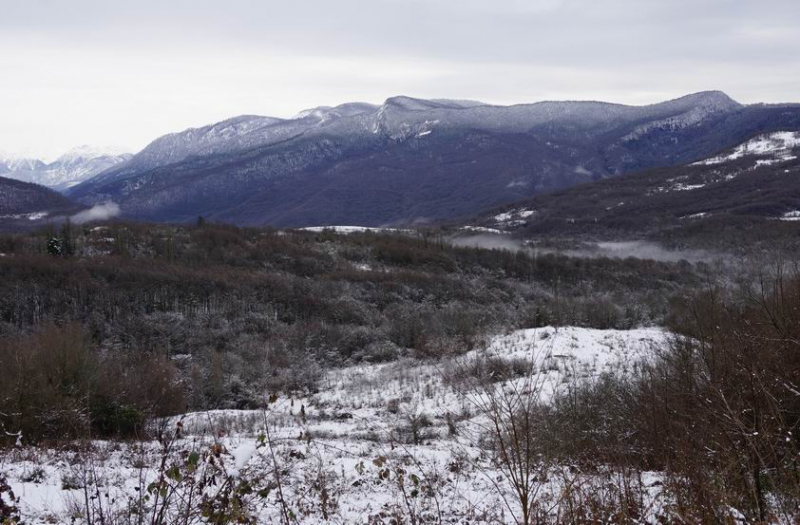 Абхазия на январские 2022