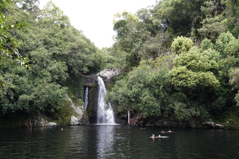 Маврикий умер (ковид), да здравствует Реюньон! Вместо пляжа лезем в горы