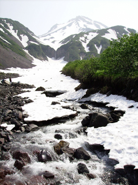 Плавание на Командоры и немного Камчатки, август 2006