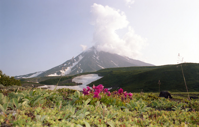 Плавание на Командоры и немного Камчатки, август 2006