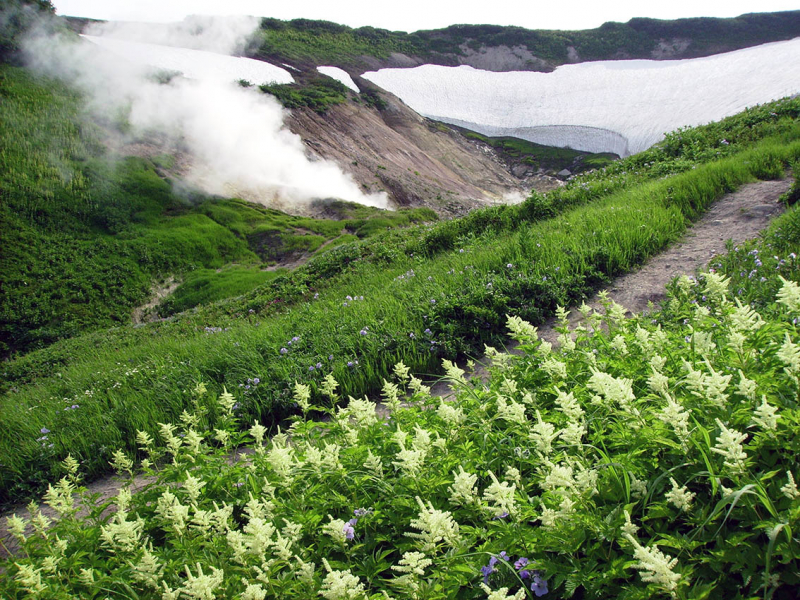 Плавание на Командоры и немного Камчатки, август 2006