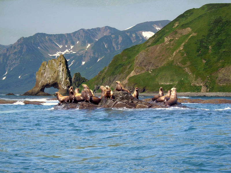 Плавание на Командоры и немного Камчатки, август 2006