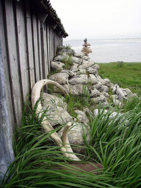 Плавание на Командоры и немного Камчатки, август 2006