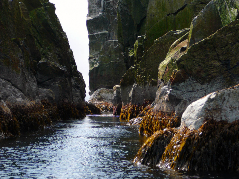 Плавание на Командоры и немного Камчатки, август 2006