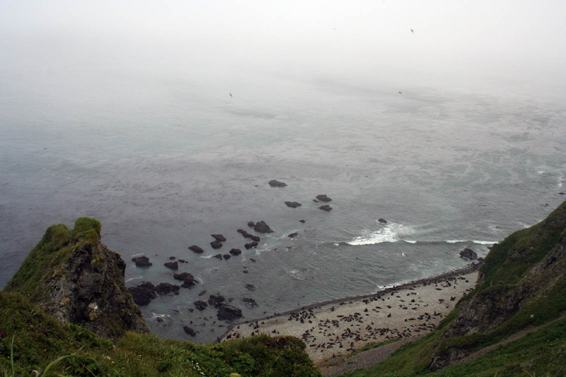 Плавание на Командоры и немного Камчатки, август 2006