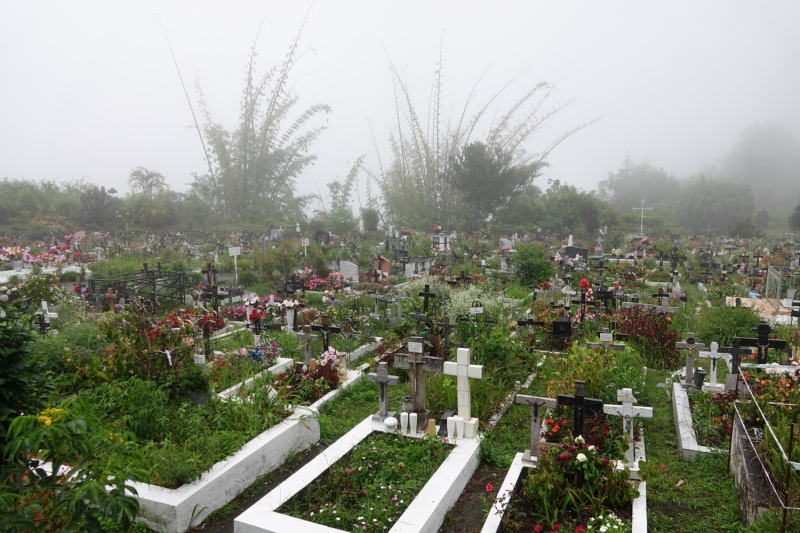 Маврикий умер (ковид), да здравствует Реюньон! Вместо пляжа лезем в горы