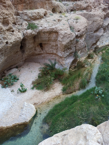 Вади Шааб (Wadi Shab) для тех, кто ищет приключения