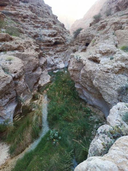 Вади Шааб (Wadi Shab) для тех, кто ищет приключения