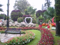 Паттайя, Бангкок_февраль 2011. Первый раз в одиночку. Описание, впечатления, фото, цены