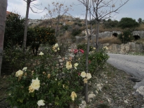 Турция: зимний довесок.