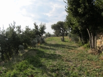 Турция: зимний довесок.