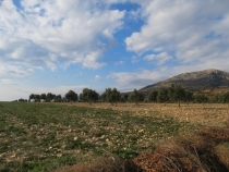 Турция: зимний довесок.