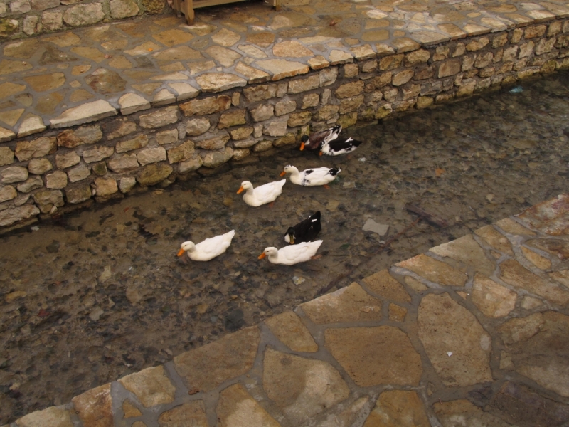 Турция: зимний довесок.