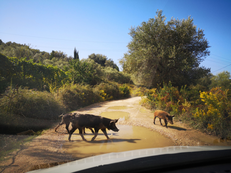Неделя в октябре 2019 на задворках Балкан.