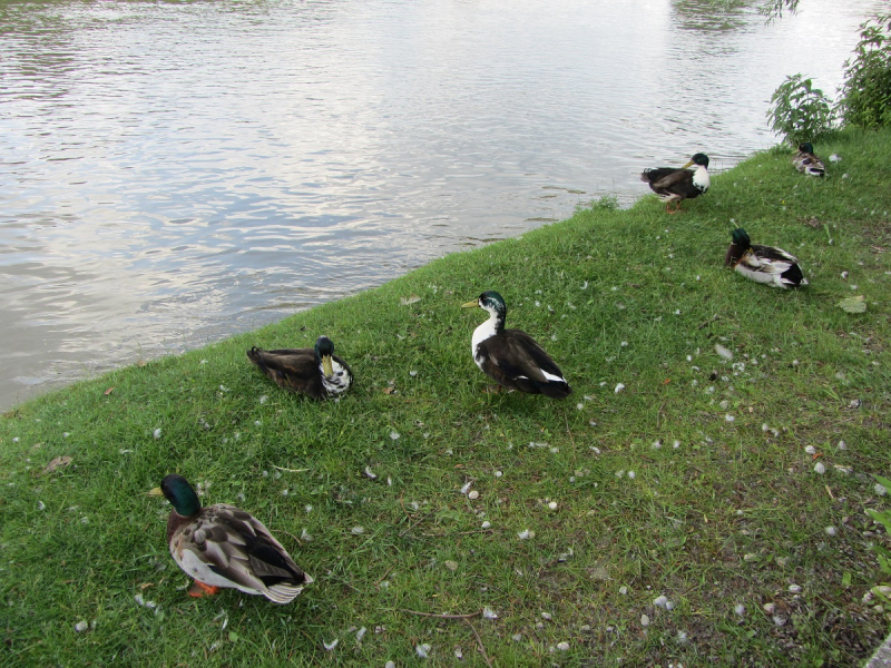 Неисчерпаемый Мюнхен