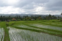 Балийский ноябрь