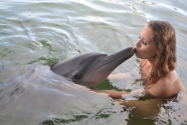 Балийский ноябрь