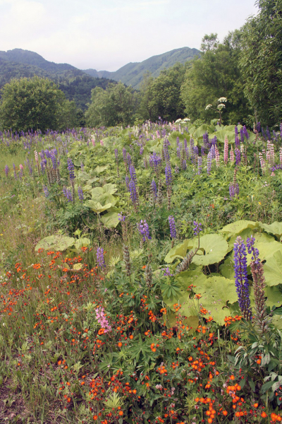 Плавание по Южным Курилам и немного Сахалина в июле 2008