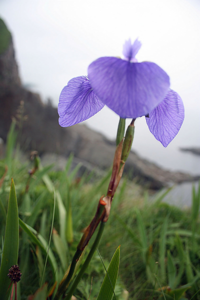 Плавание по Южным Курилам и немного Сахалина в июле 2008
