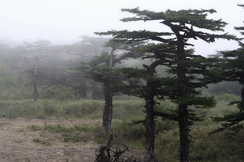 Плавание по Южным Курилам и немного Сахалина в июле 2008